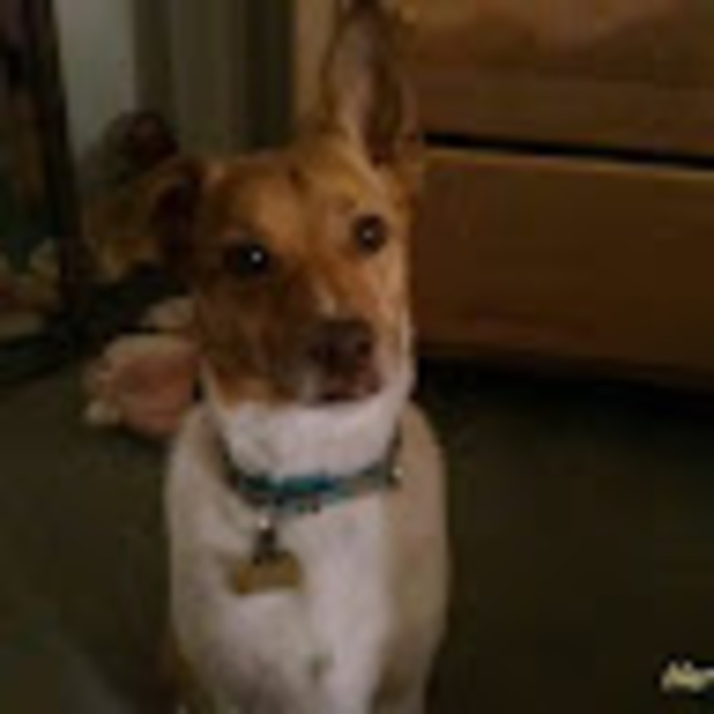 Meet your Posher, Kelly jo